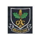Broad Oak CC Seniors