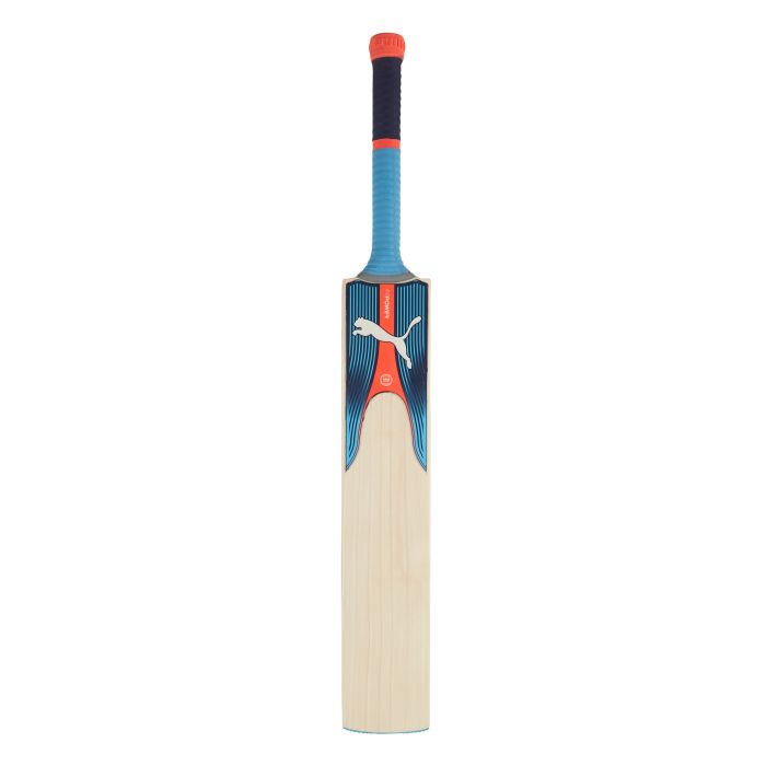 Puma cricket gear hot sale