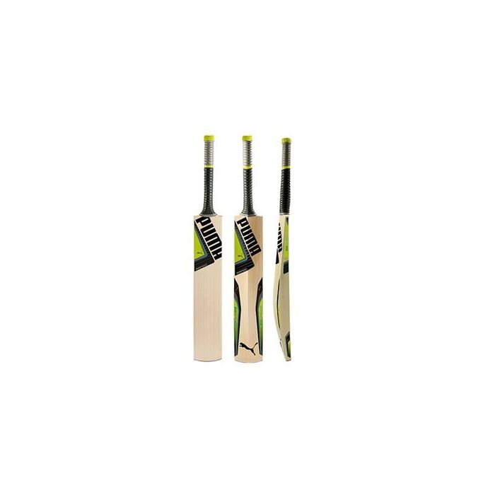 Puma evospeed bat clearance