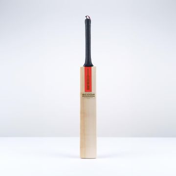 2025 Gray Nicolls Scoop 50 Players Edition Cricket Bat