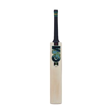 2024 Gunn and Moore Aion DXM 808 Cricket Bat