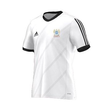Dartfordians CC Adidas White Training Jersey