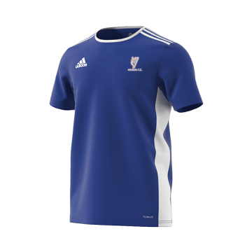 Armagh CC Adidas Blue Training Jersey