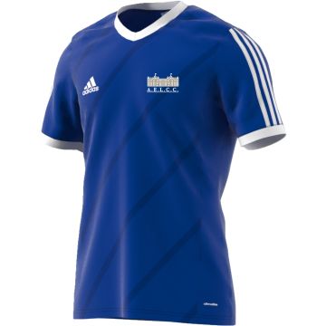 Audley End CC Adidas Blue Training Jersey