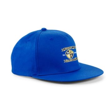 Frickley Colliery Welfare CC Blue Snapback Hat
