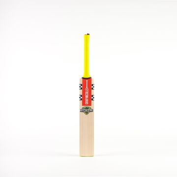 2024 Gray Nicolls Tempesta Cameo Junior Cricket Bat