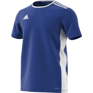Tenbury United FC Adidas Blue Junior Training Jersey