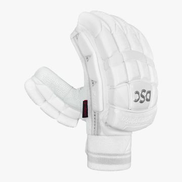 2024 DSC Xlite LE Batting Gloves