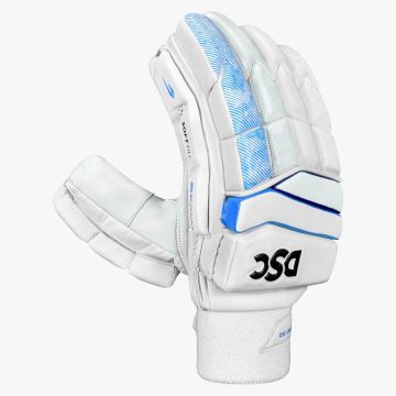 DSC Blu 2000 Batting Gloves (2026)