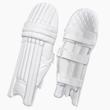 DSC Xlite LE Batting Pads (2026)