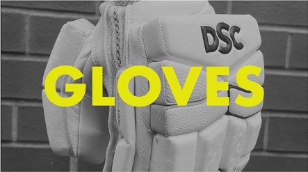 Cricket Batting Gloves